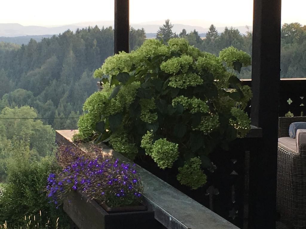 Landhausvilla Strittberg 7 Höchenschwand Buitenkant foto